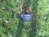 image of grave number 381539